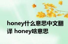 honey什么意思中文翻译 honey啥意思 