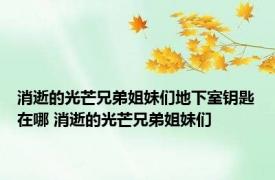 消逝的光芒兄弟姐妹们地下室钥匙在哪 消逝的光芒兄弟姐妹们 
