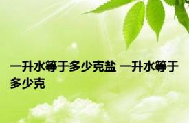 一升水等于多少克盐 一升水等于多少克 