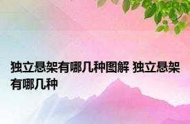 独立悬架有哪几种图解 独立悬架有哪几种