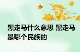 黑走马什么意思 黑走马是哪个民族的