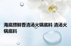 海底捞鲜香清汤火锅底料 清汤火锅底料 