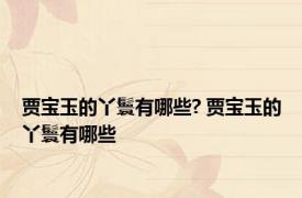贾宝玉的丫鬟有哪些? 贾宝玉的丫鬟有哪些