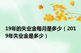 19年的失业金每月是多少（2019年失业金是多少）