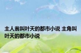 主人翁叫叶天的都市小说 主角叫叶天的都市小说