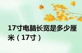 17寸电脑长宽是多少厘米（17寸）