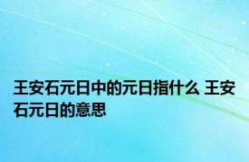 王安石元日中的元日指什么 王安石元日的意思