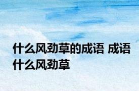 什么风劲草的成语 成语什么风劲草