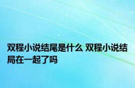 双程小说结尾是什么 双程小说结局在一起了吗