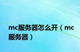 mc服务器怎么开（mc服务器）