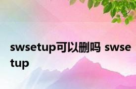 swsetup可以删吗 swsetup 