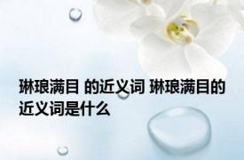 琳琅满目 的近义词 琳琅满目的近义词是什么