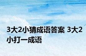 3大2小猜成语答案 3大2小打一成语