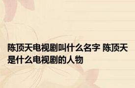 陈顶天电视剧叫什么名字 陈顶天是什么电视剧的人物