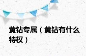 黄钻专属（黄钻有什么特权）