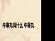 牛睾丸叫什么 牛睾丸 