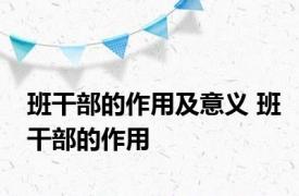 班干部的作用及意义 班干部的作用 