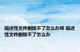 描述性文件删除不了怎么办呀 描述性文件删除不了怎么办