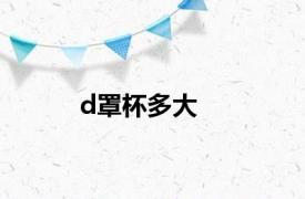 d罩杯多大