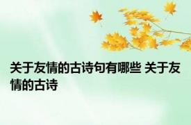关于友情的古诗句有哪些 关于友情的古诗 
