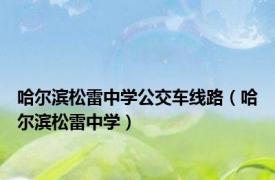 哈尔滨松雷中学公交车线路（哈尔滨松雷中学）