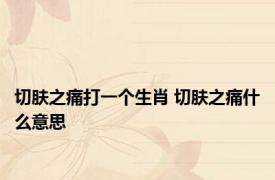 切肤之痛打一个生肖 切肤之痛什么意思 