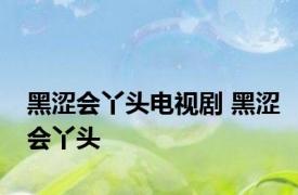 黑涩会丫头电视剧 黑涩会丫头 