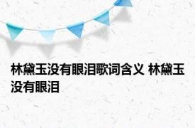 林黛玉没有眼泪歌词含义 林黛玉没有眼泪 