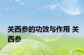 关西参的功效与作用 关西参 