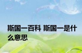 斯国一百科 斯国一是什么意思