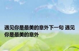 遇见你是最美的意外下一句 遇见你是最美的意外 