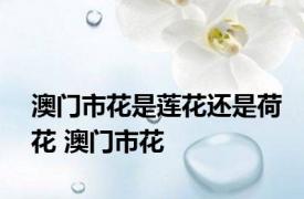 澳门市花是莲花还是荷花 澳门市花 