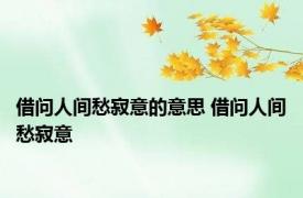 借问人间愁寂意的意思 借问人间愁寂意 