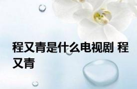 程又青是什么电视剧 程又青 