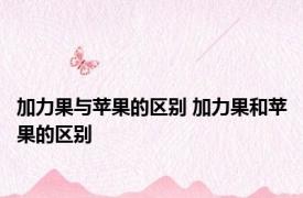 加力果与苹果的区别 加力果和苹果的区别 