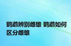 鹦鹉辨别雌雄 鹦鹉如何区分雌雄