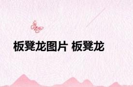 板凳龙图片 板凳龙 