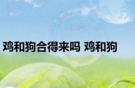 鸡和狗合得来吗 鸡和狗 