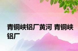 青铜峡铝厂黄河 青铜峡铝厂 