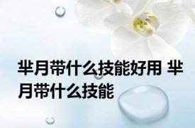 芈月带什么技能好用 芈月带什么技能