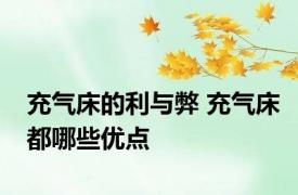 充气床的利与弊 充气床都哪些优点