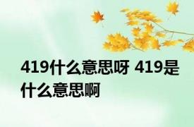 419什么意思呀 419是什么意思啊 