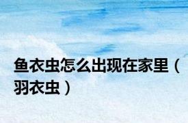 鱼衣虫怎么出现在家里（羽衣虫）