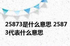 25873是什么意思 25873代表什么意思 