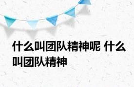 什么叫团队精神呢 什么叫团队精神 