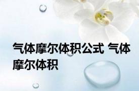气体摩尔体积公式 气体摩尔体积 