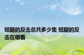 短腿的反击总共多少集 短腿的反击在哪看 