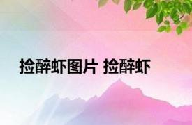 捡醉虾图片 捡醉虾 