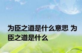 为臣之道是什么意思 为臣之道是什么