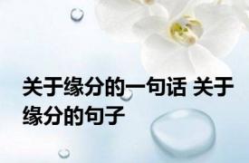 关于缘分的一句话 关于缘分的句子 